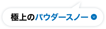 極上のパウダースノー