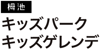 キッズパークキッズゲレンデ
