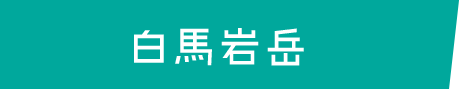 白馬岩岳スノーリゾート