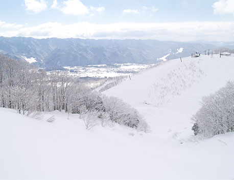 More Spot イメージ写真03