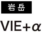 VIE+α