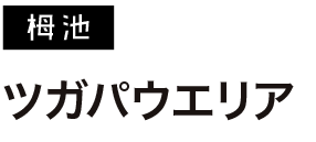 ツガパウエリア