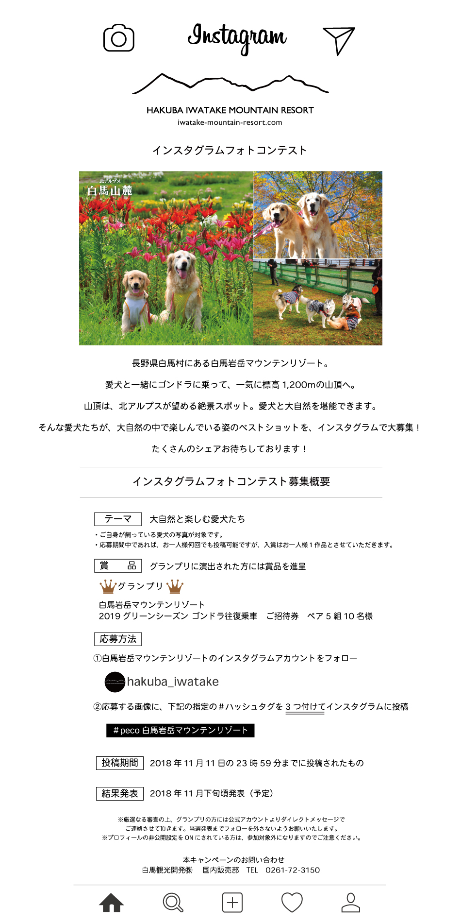 doginsta