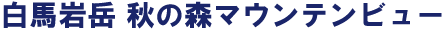 岩岳ゴンドラリフト