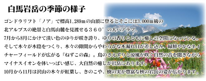 自然と植物