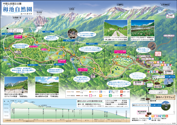 栂池自然園散策見所ガイドマップ